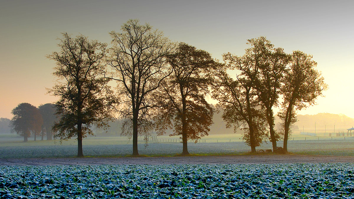 Jens Wendroth Fotografie